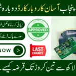 CM Punjab Asaan Karobar Card