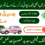CM Punjab E-Taxi Scheme 2025 Online Apply Last Few Days Left